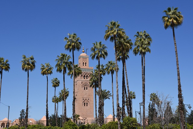 Free Minaret Palm Trees photo and picture