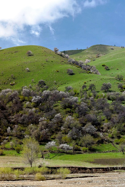 Free Nature Landscape photo and picture