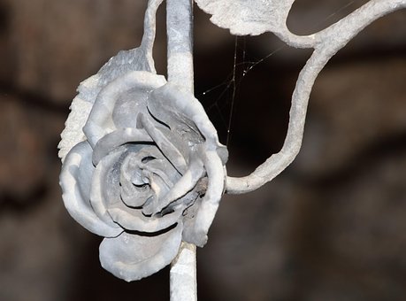 Nahaufnahme, Blume, Rose, Eisen, Tor