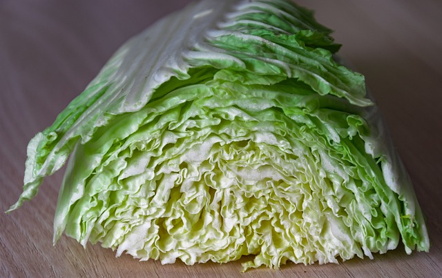 Free Leaf Vegetables photo and picture