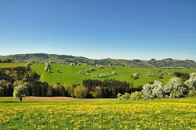 Free Nature Landscape photo and picture