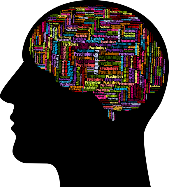 Free cranium head human vector