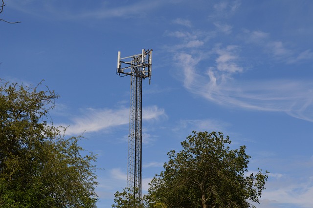 Free Sky Ariel photo and picture