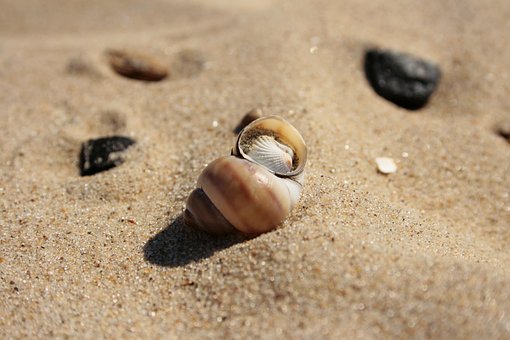 Sand, Strand, Kyst, Den Ydre Skelet