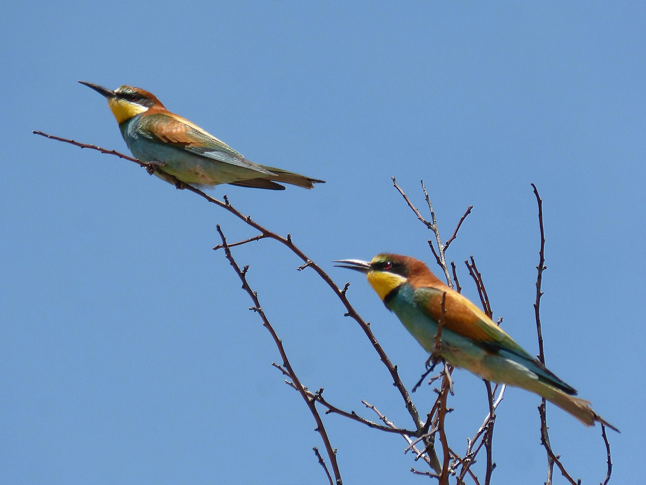 couple-3352683_1280.jpg