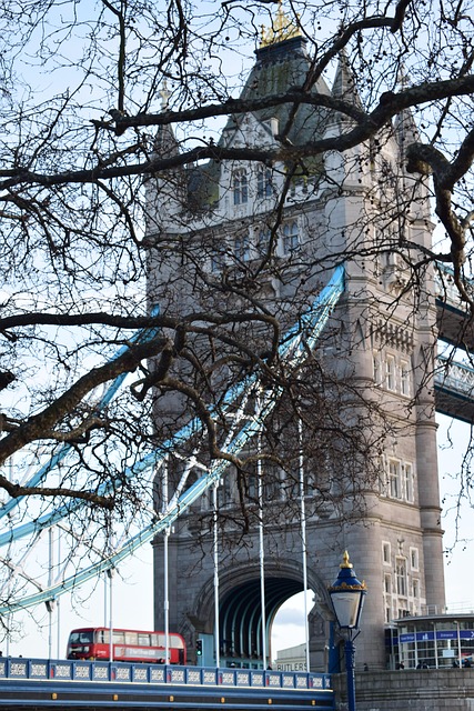 Free London Tower Bridge photo and picture