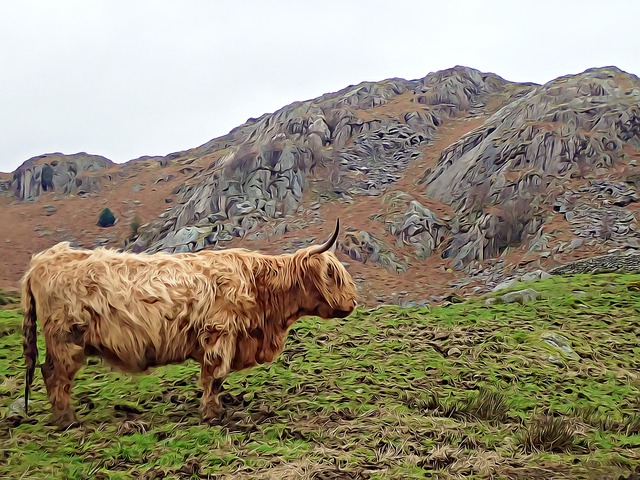 Free highlander eskdale landscape illustration