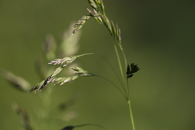 Free Nature Outside photo and picture