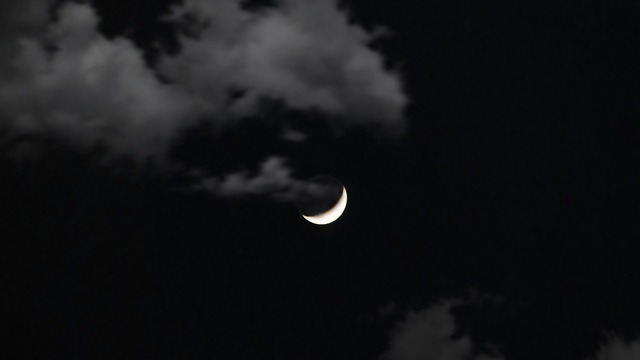 Free Moon No One photo and picture