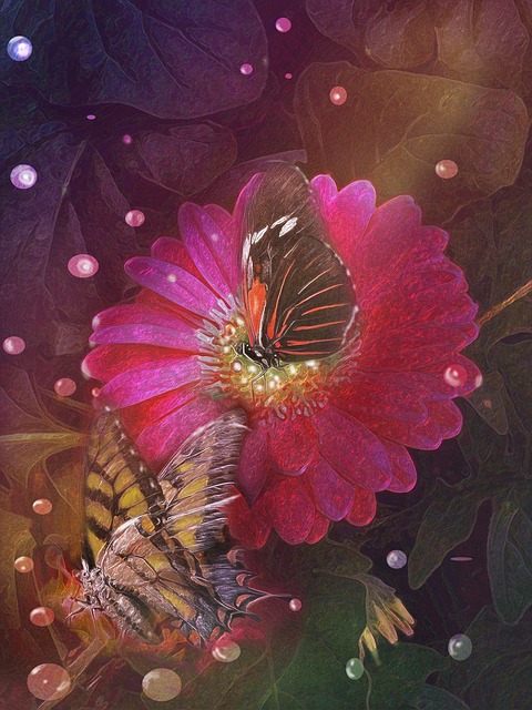 Illustration, Schmetterlinge, Blumen