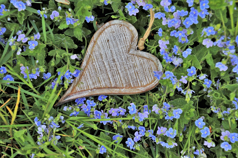 heart-3354950_960_720.jpg