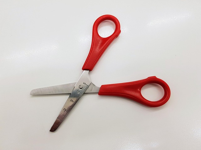 Free Scissors Tool photo and picture