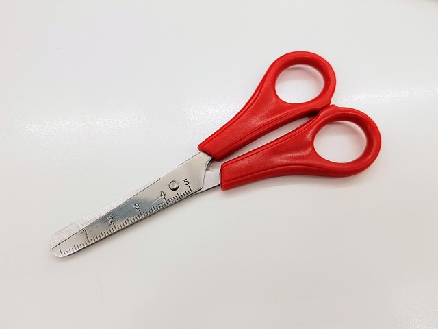 Free Tool Scissors photo and picture