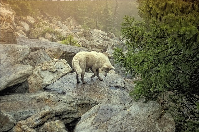 Free Nature Stone photo and picture