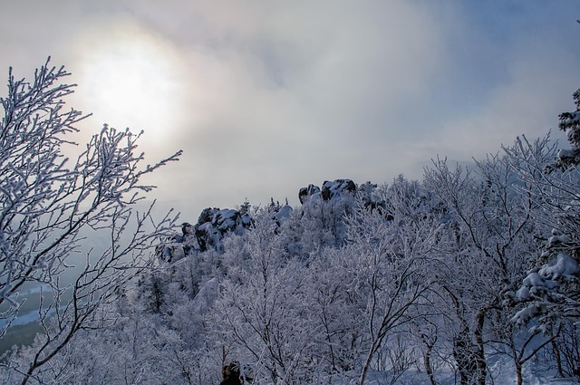 Free Winter Snow photo and picture