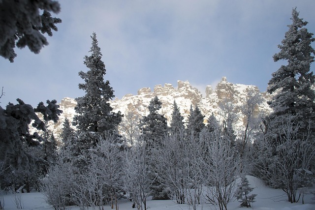 Free Snow Winter photo and picture