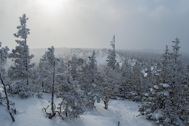 Free Snow Winter photo and picture