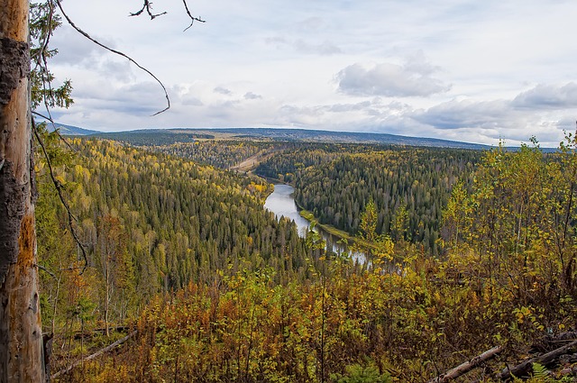 Free Nature Landscape photo and picture