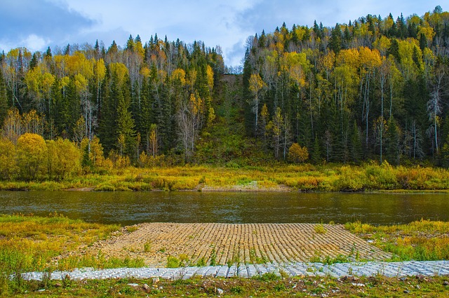 Free Wood Nature photo and picture