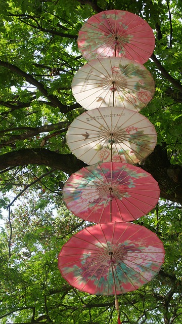 Free Nature Tree photo and picture