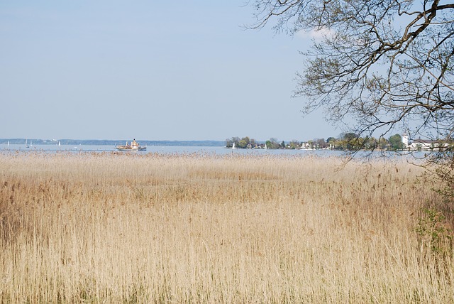 Natur, Landschaft, Himmel, Gras, Feld