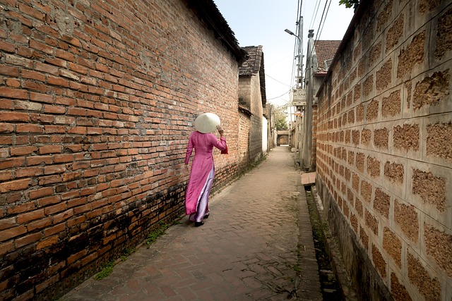 Free The Ancient Village Forestry Road photo and picture