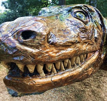 Free Reptile Dinosaur photo and picture