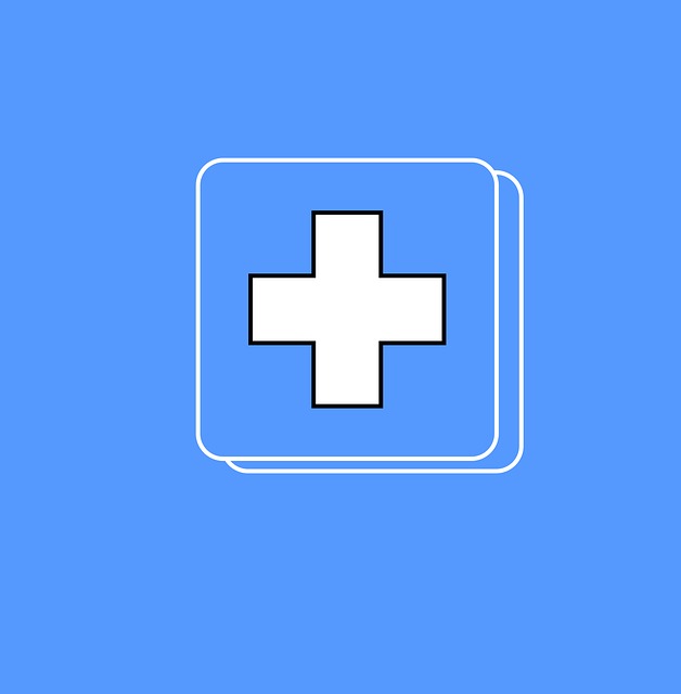 Emergency Icon Blue Health - Free vector graphic on Pixabay