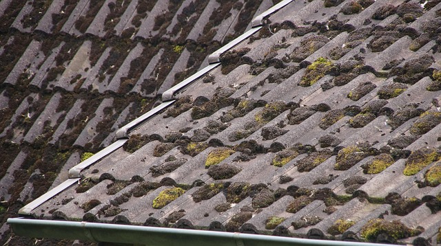 Free Roof Roof Renovation photo and picture