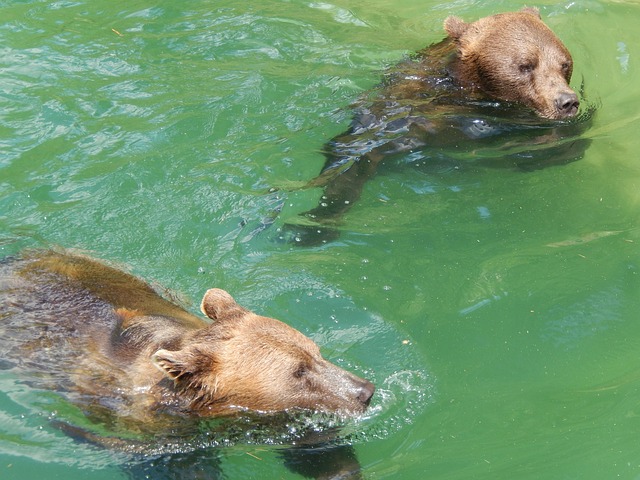 Free Waters Nature photo and picture