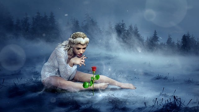 Free fantasy winter rose illustration