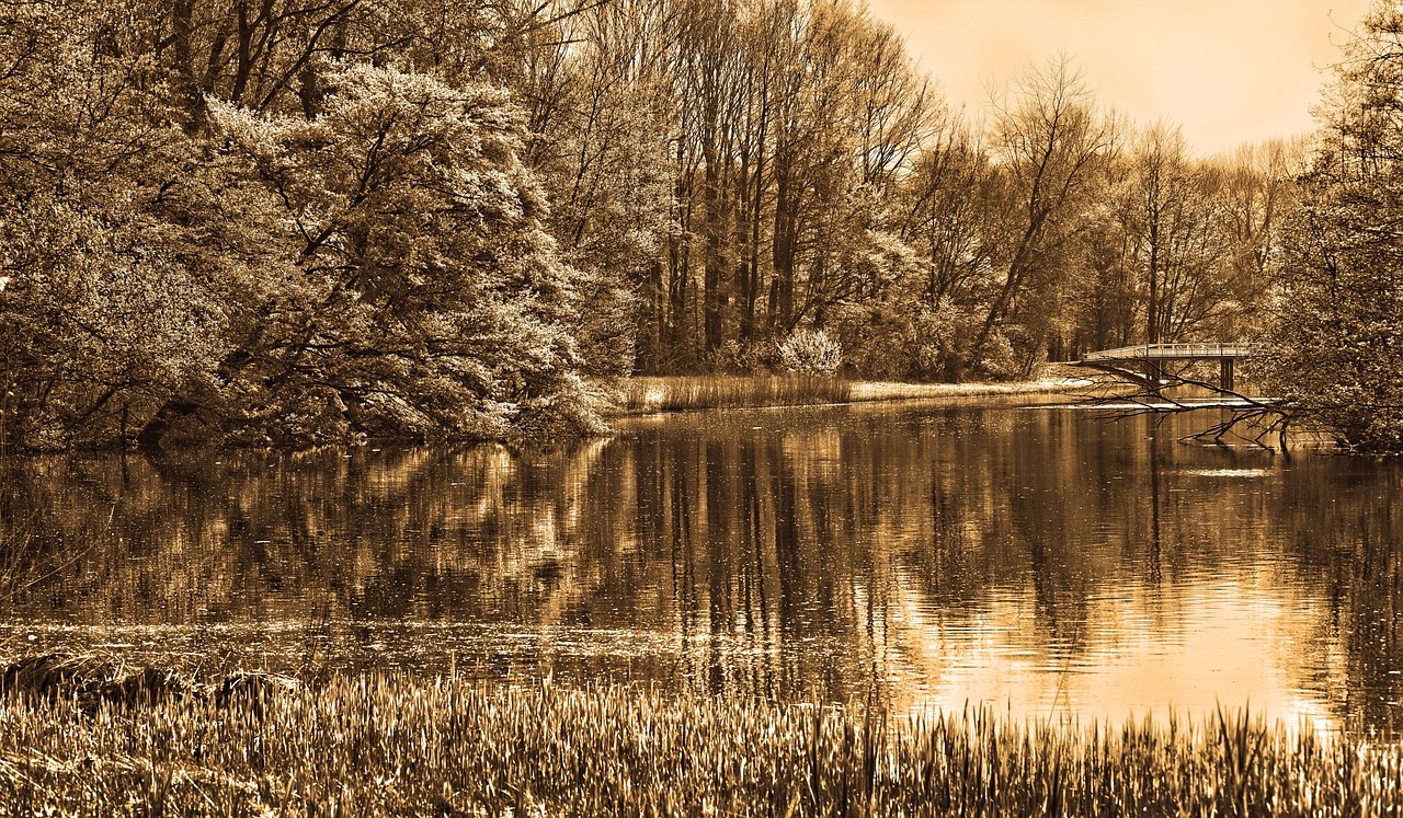 Download free HD stock image of Pond Water Free Pond Water photo and picture