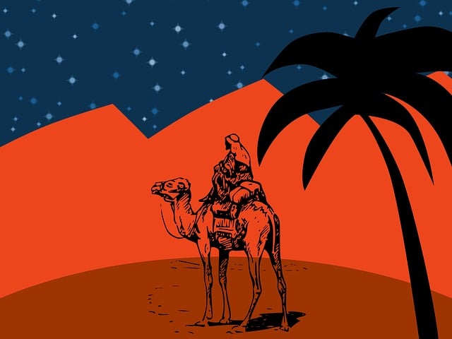 Free desert nature camel illustration
