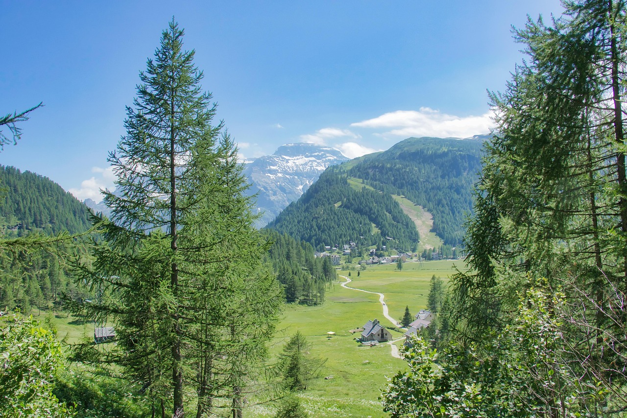 La Nature Bois Paysage - Photo gratuite sur Pixabay - Pixabay