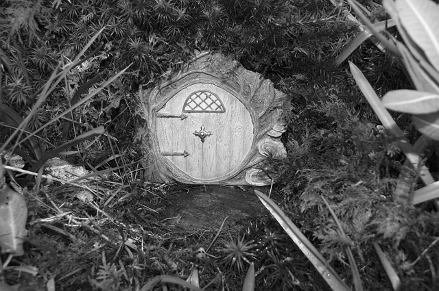 Free Fairy Door photo and picture