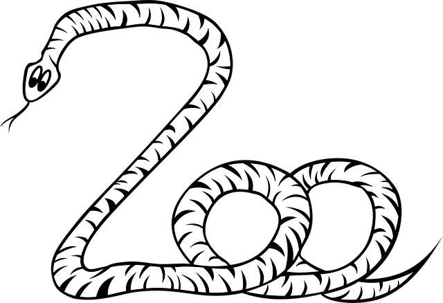 Free snake nature animal vector