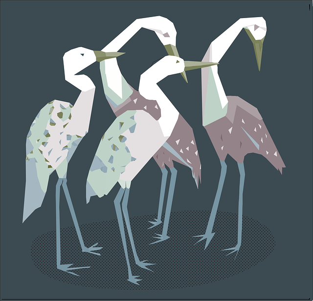Free birds herons nature illustration
