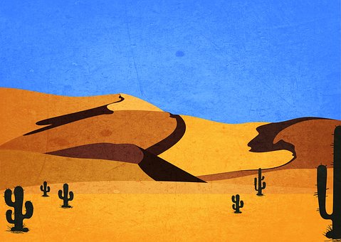 Wüste, Dünen, Landschaft, Sand, Kaktus