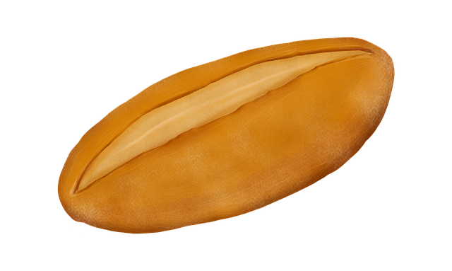 Free bread french toast baked illustration