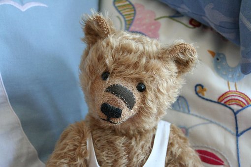 Free Teddy Teddy Bear photo and picture