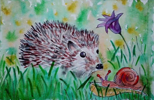 Free hedgehog hedgehogs drawing illustration