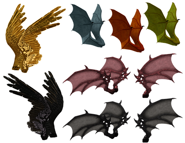 Free wing wings feather illustration