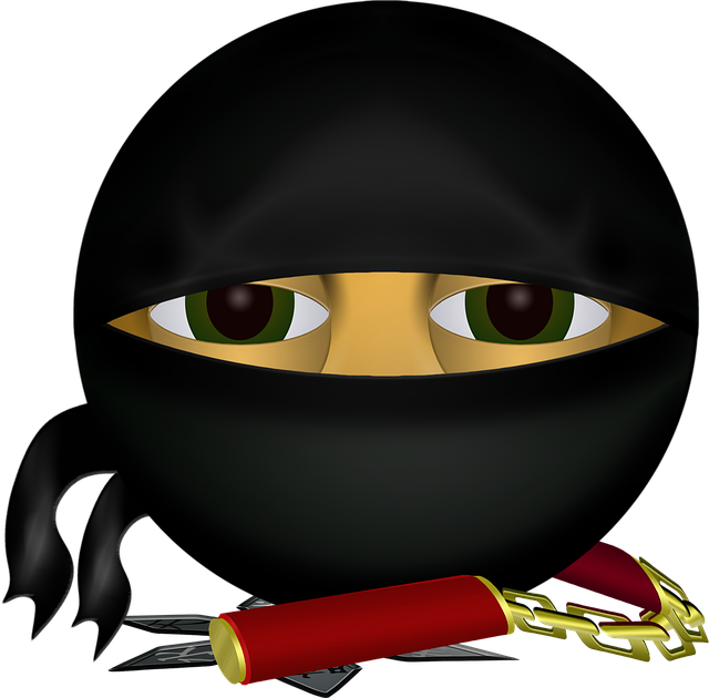 Free graphic ninja smiley vector