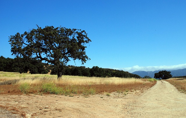 Free Nature Landscape photo and picture