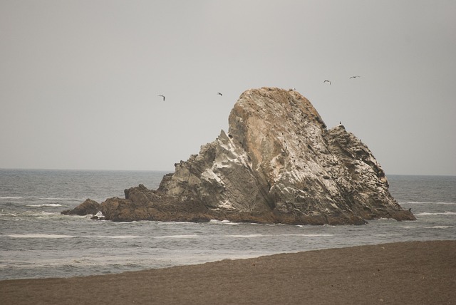 Free Sea Seashore photo and picture