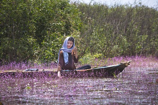 Hoa Nhĩ Cán Tím Thực Vật, Thiên Nhiên