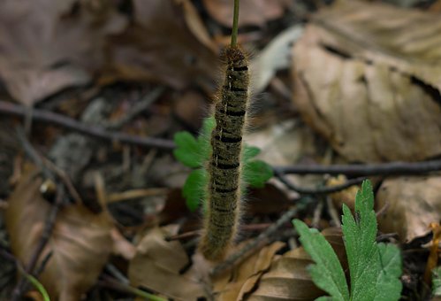 Free Nature Outdoors photo and picture