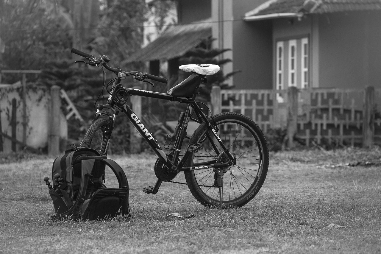 Bike Gear Giant Free photo on Pixabay Pixabay