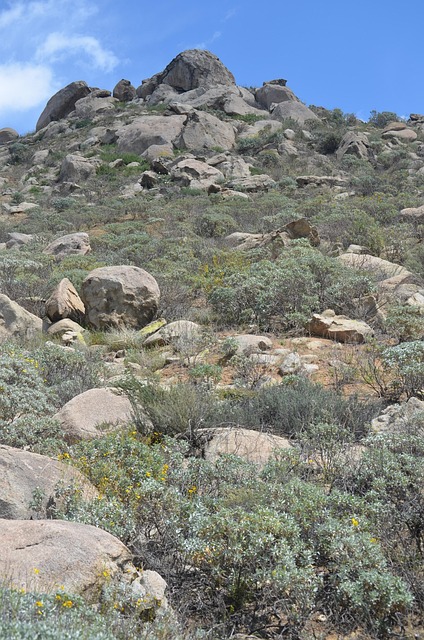 Free Nature Rock photo and picture