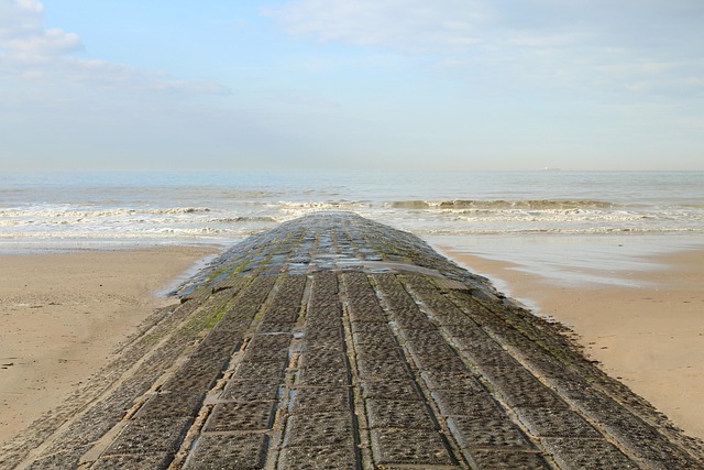 Free Sand Beach photo and picture
